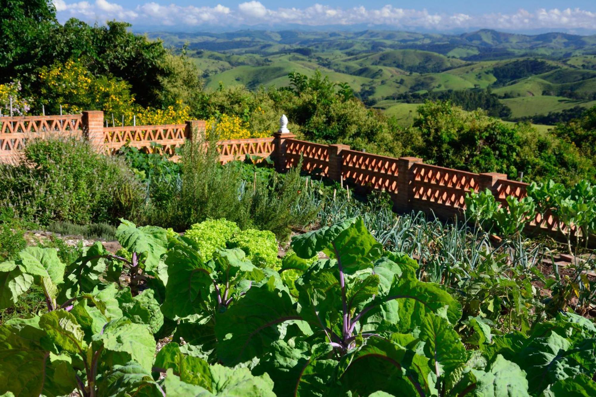 Pousada Quinta Da Serra Acomodação com café da manhã Cunha Exterior foto